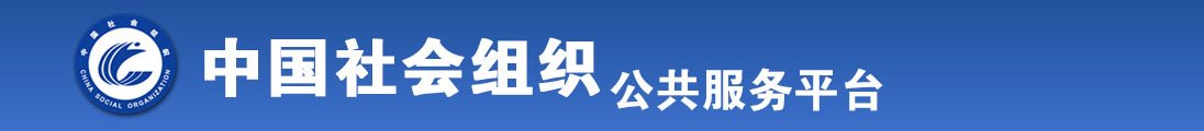 www路17c路con全国社会组织信息查询